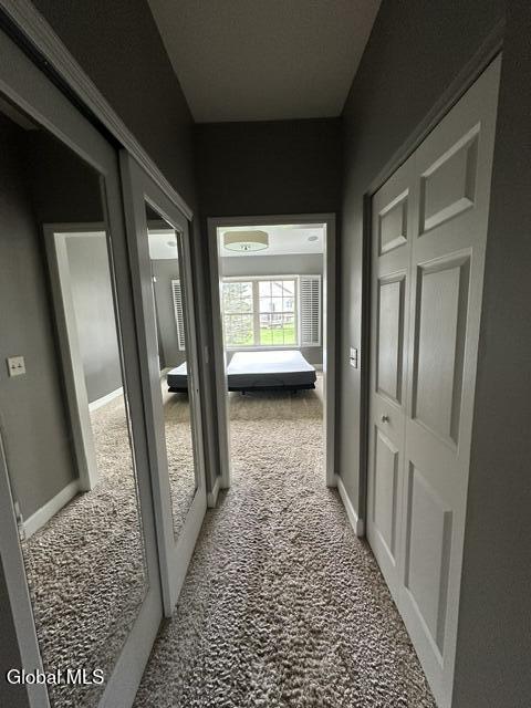 63 Fathers Way Slingerlands NY 12159