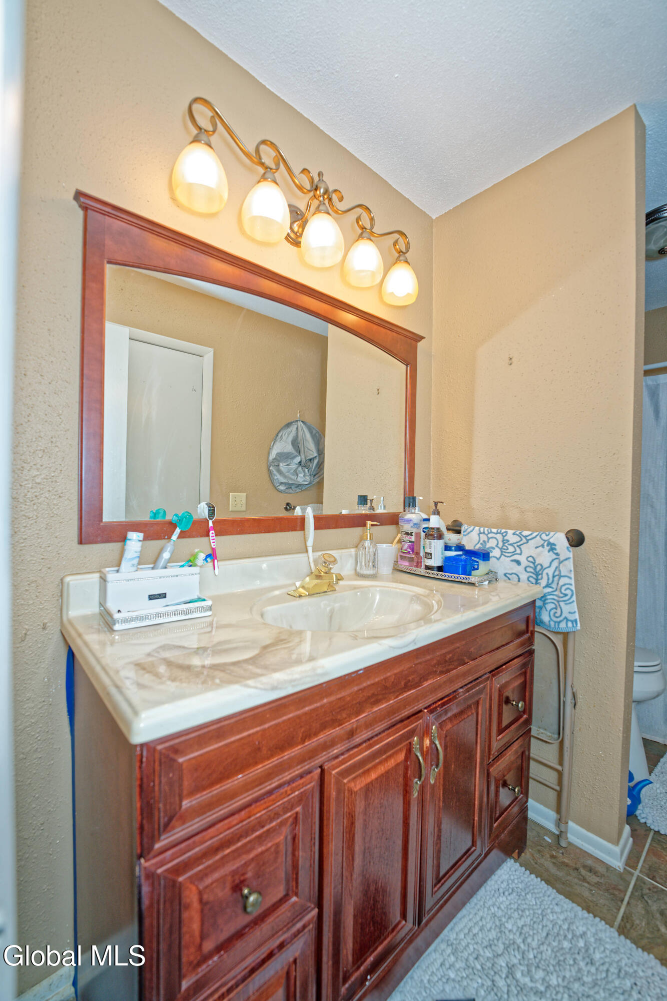 11 Fox Hollow Square Cohoes NY 12047
