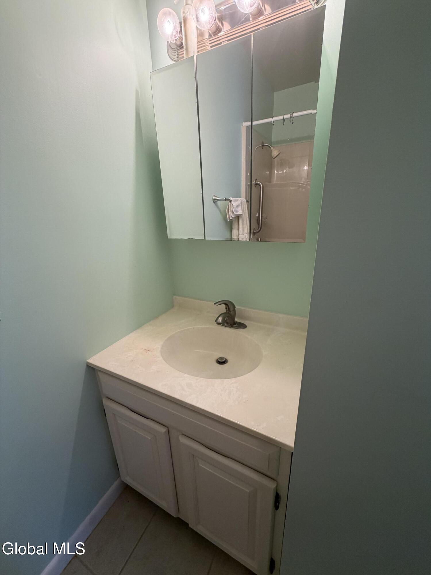 801 Cambridge Manor Drive Scotia NY 12302