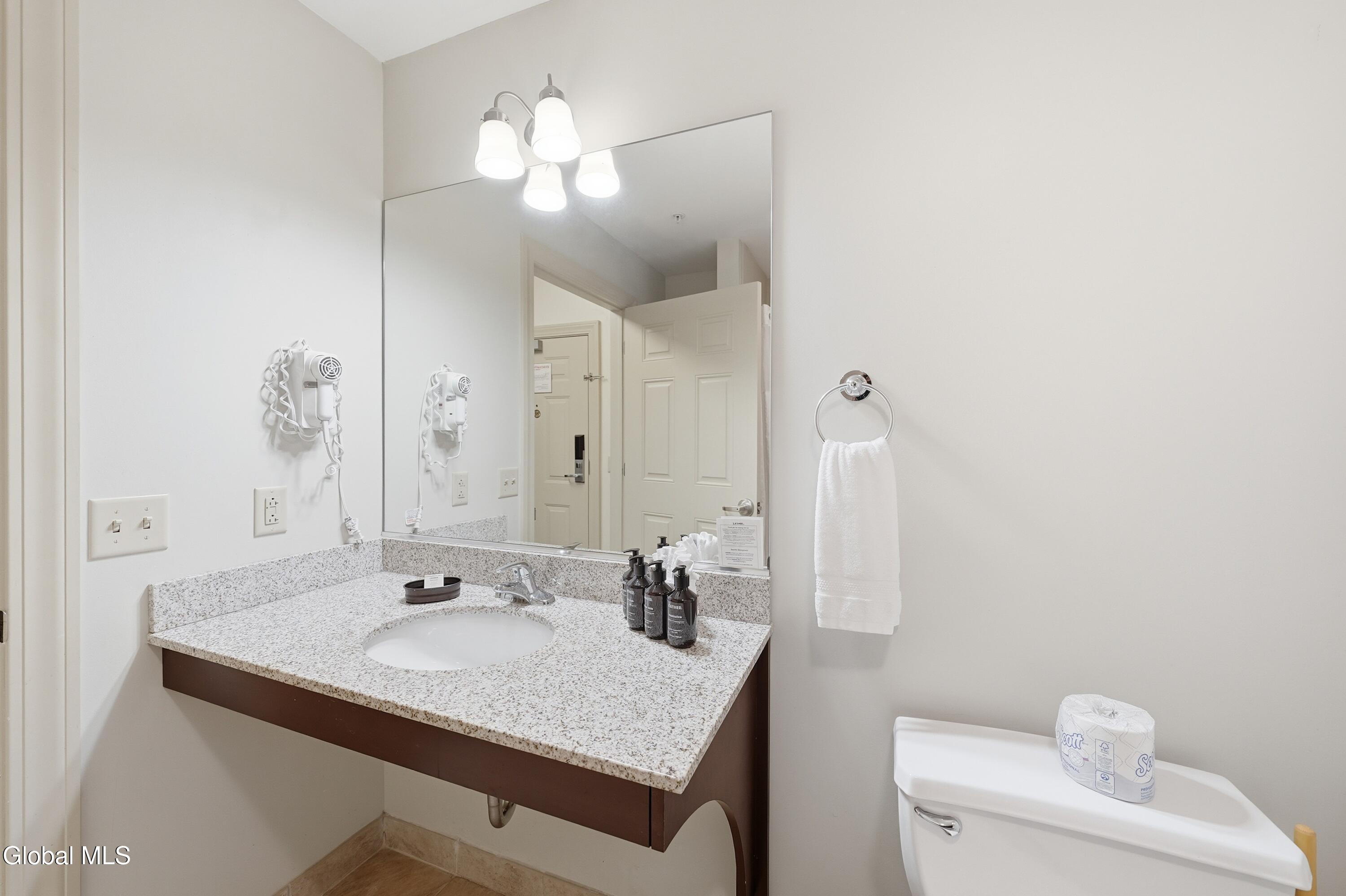 62 Liftside Drive Hunter NY 12442