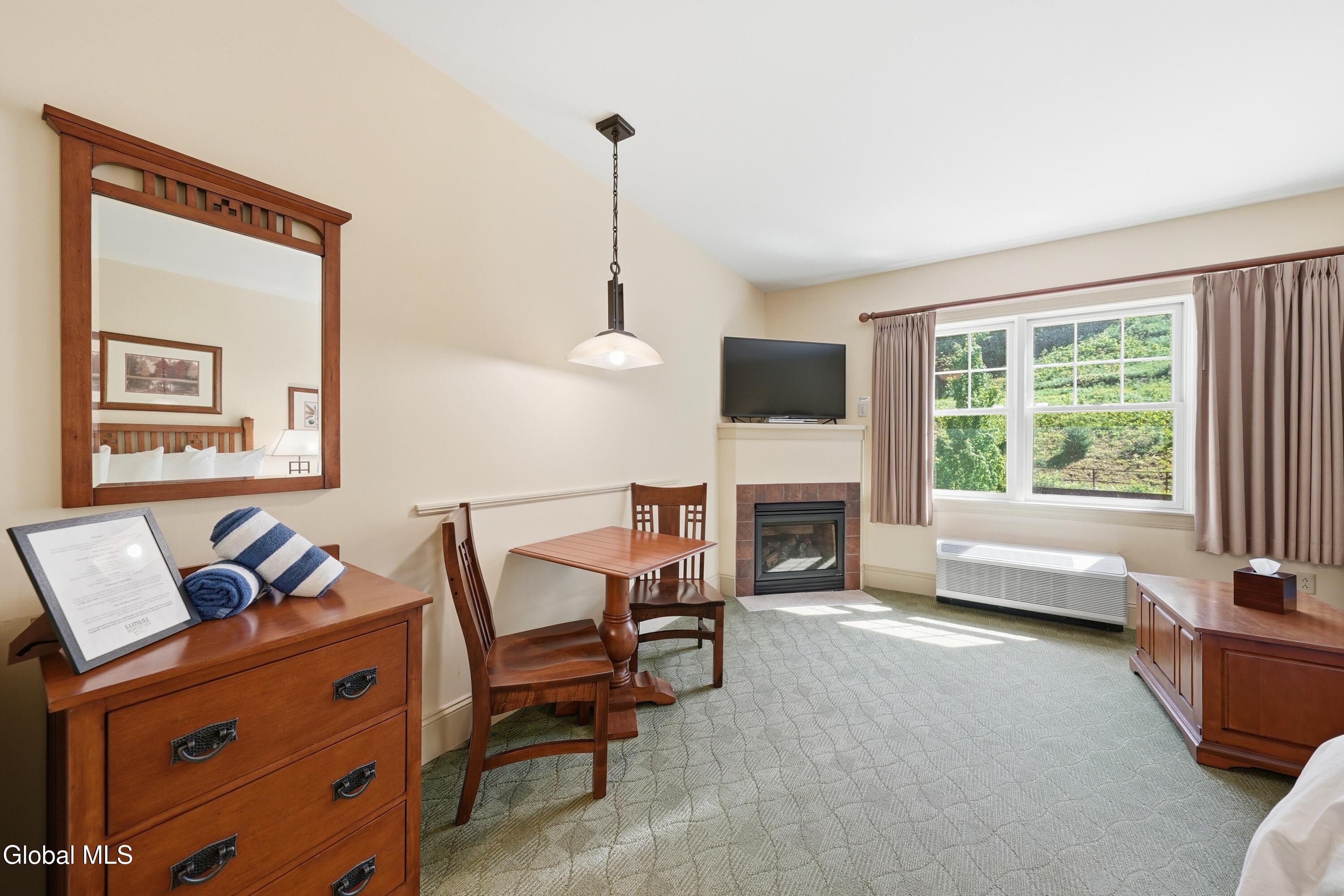 62 Liftside Drive Hunter NY 12442