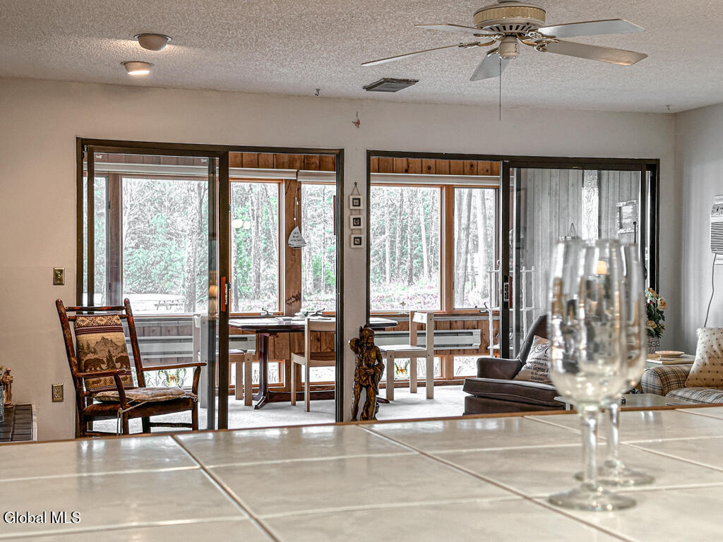 3562 Lake Shore Drive Diamond Point NY 12824