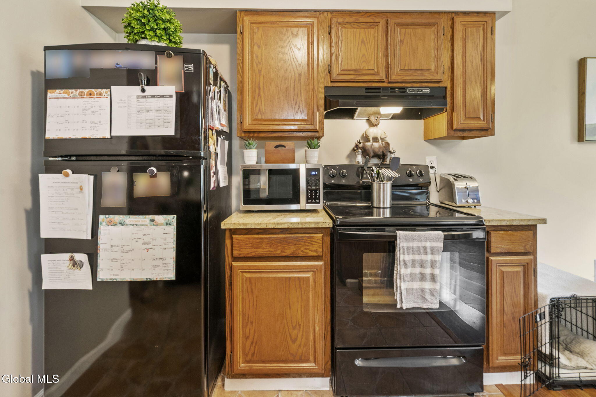 3016 Fern Court Schenectady NY 12303