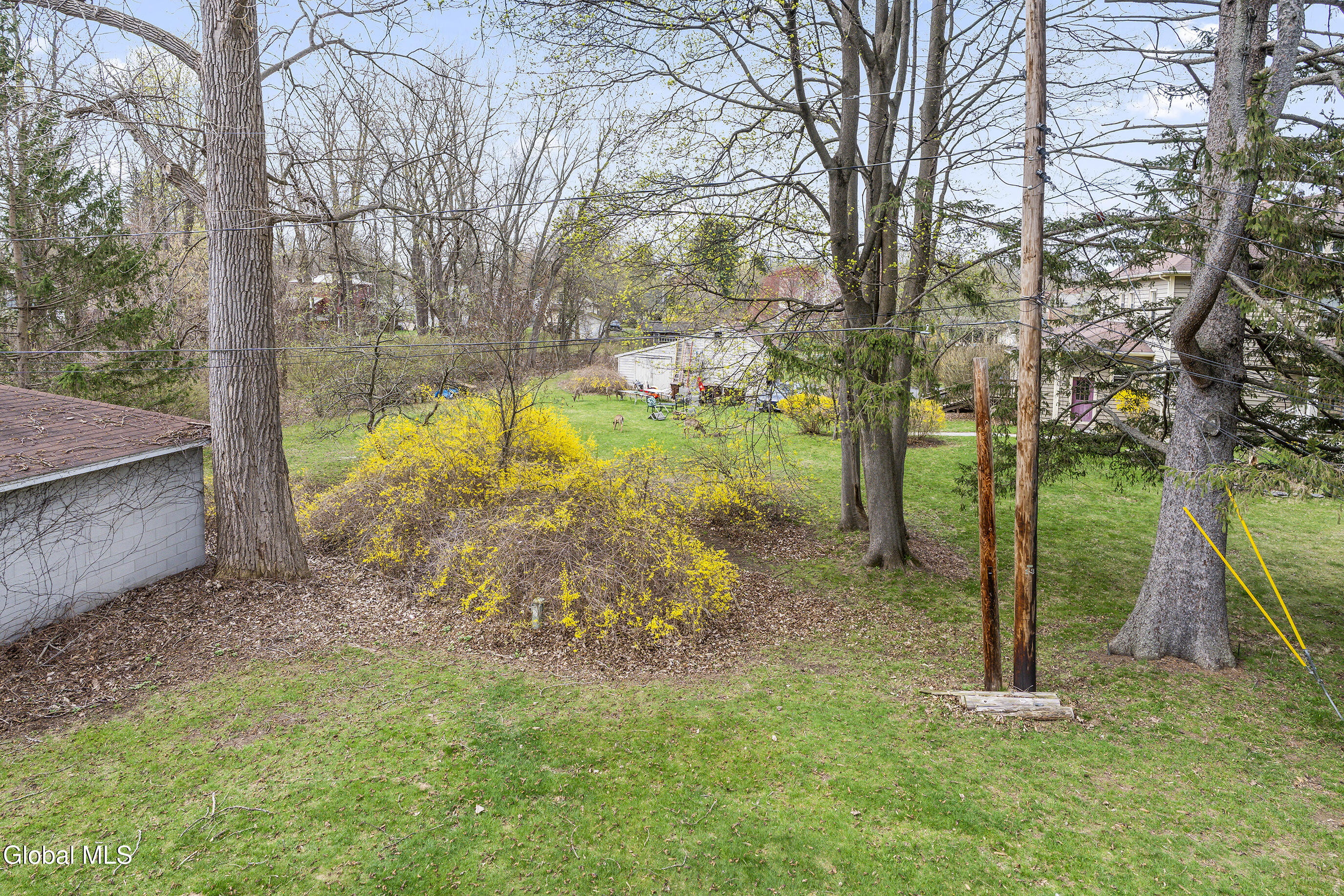 7 Regina Delmar NY 12054