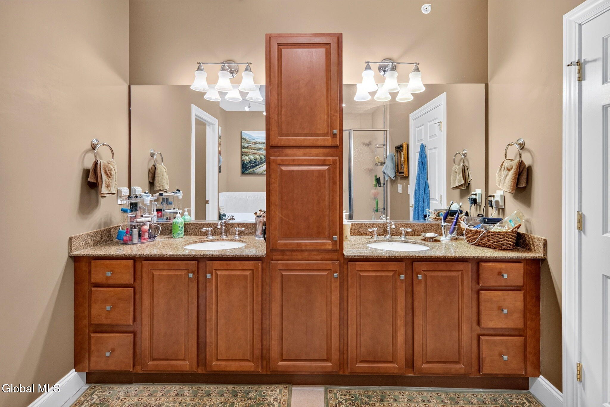 703 Vly Pointe Drive Niskayuna NY 12309