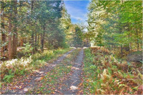 64 Carriage Knolls Road Chestertown NY 12817