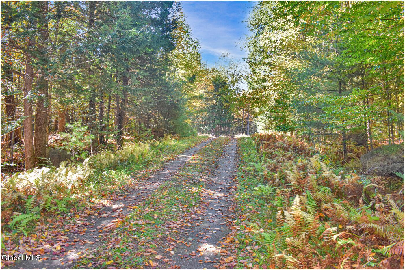 64 Carriage Knolls Road Chestertown NY 12817
