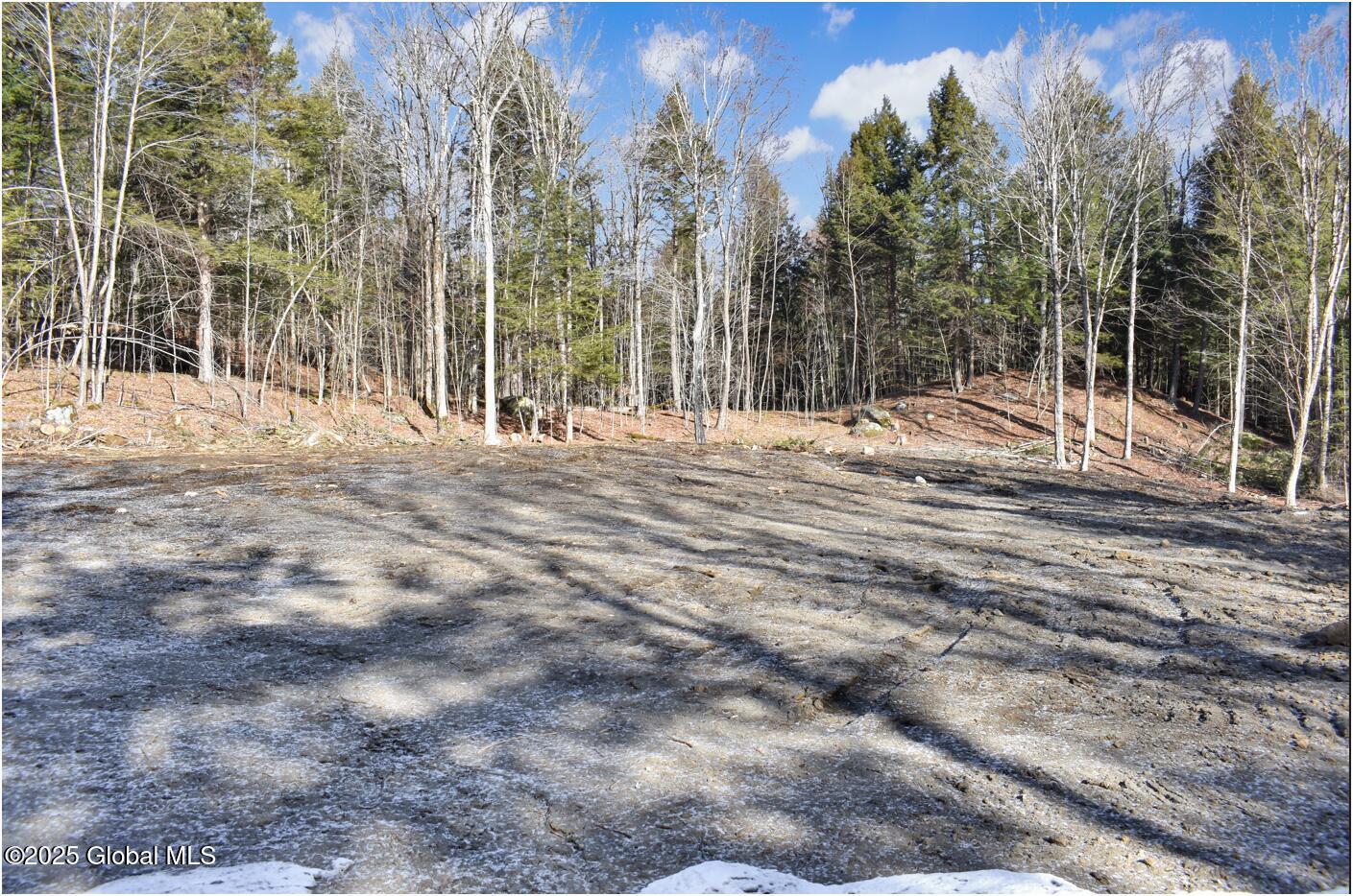 64 Carriage Knolls Road Chestertown NY 12817