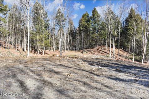 64 Carriage Knolls Road Chestertown NY 12817