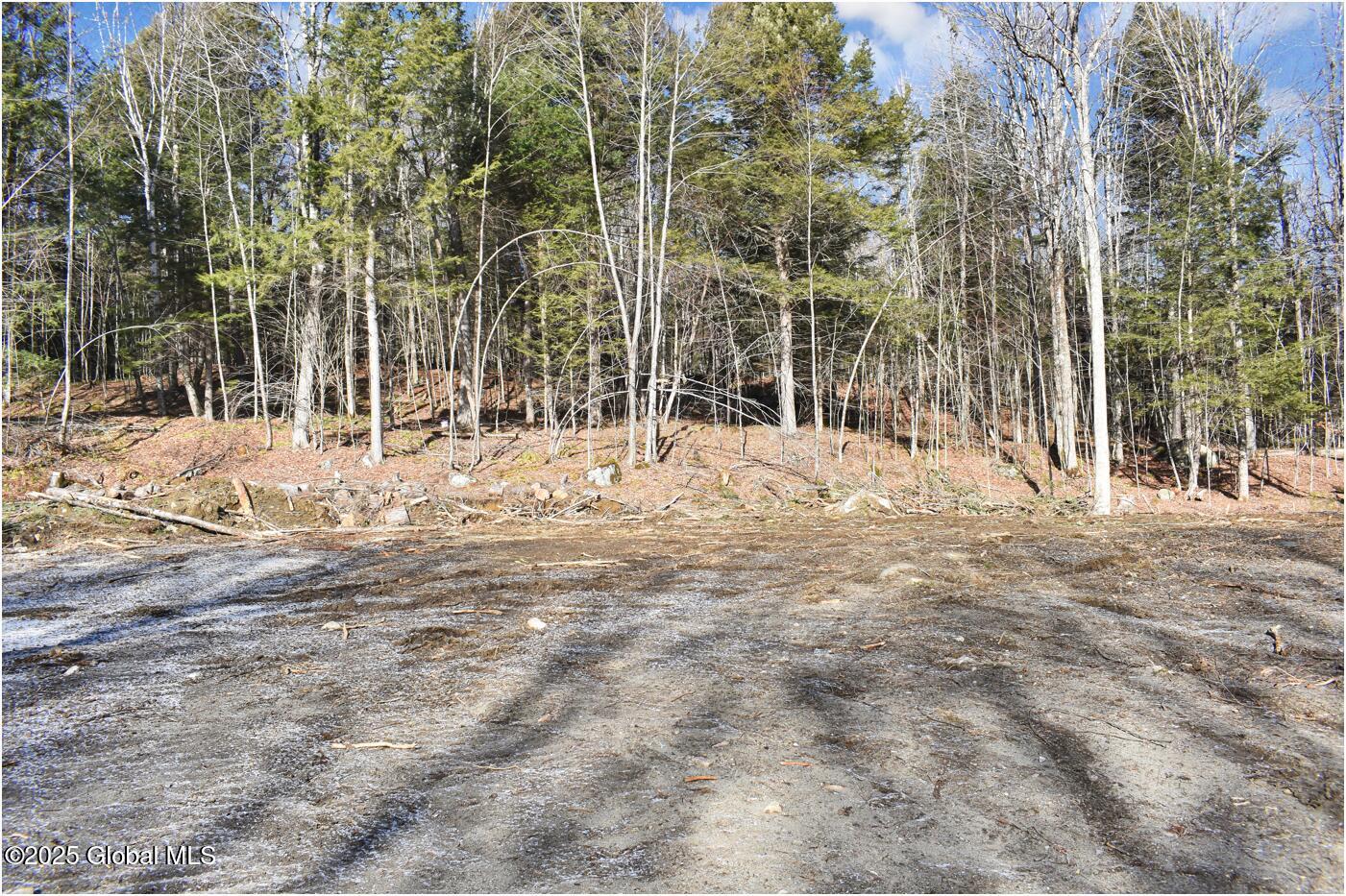 64 Carriage Knolls Road Chestertown NY 12817