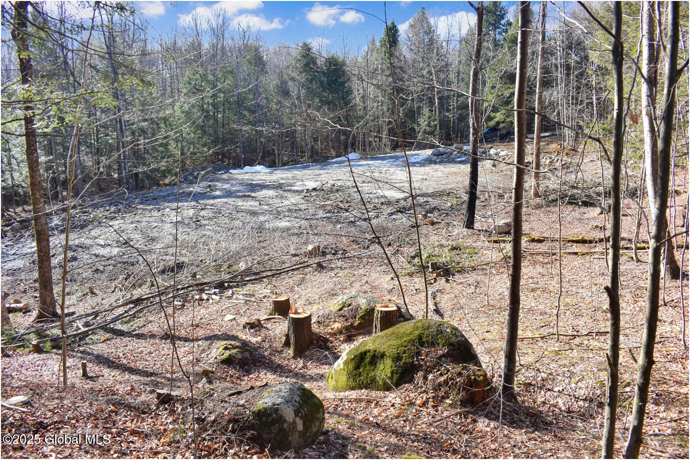 64 Carriage Knolls Road Chestertown NY 12817