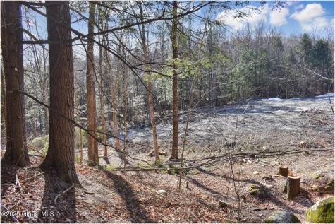 64 Carriage Knolls Road Chestertown NY 12817
