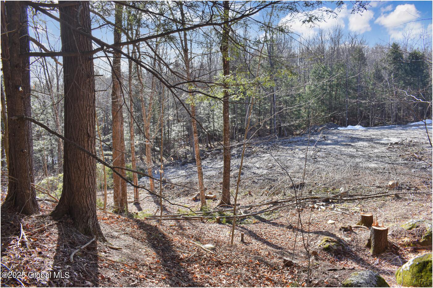 64 Carriage Knolls Road Chestertown NY 12817
