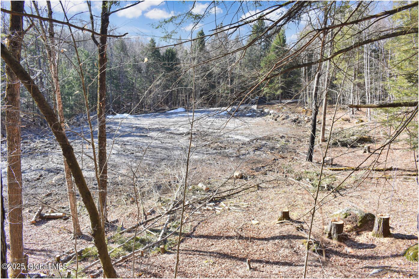 64 Carriage Knolls Road Chestertown NY 12817