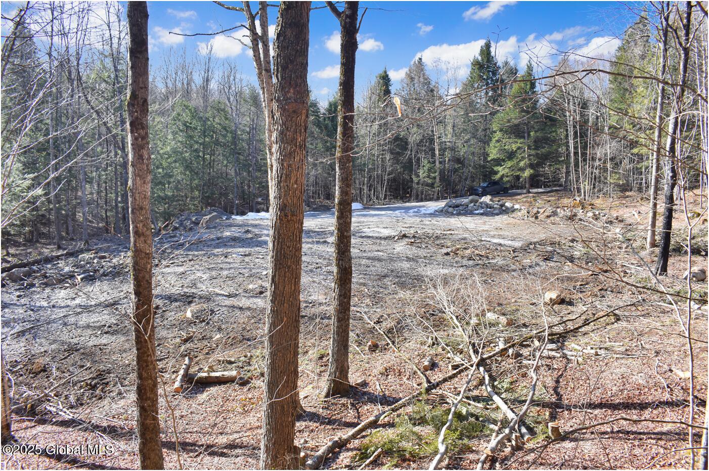 64 Carriage Knolls Road Chestertown NY 12817