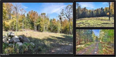 64 Carriage Knolls Road Chestertown NY 12817