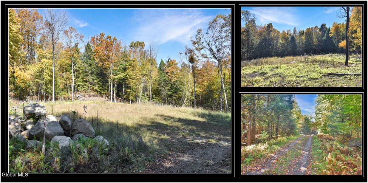 64 Carriage Knolls Road Chestertown NY 12817