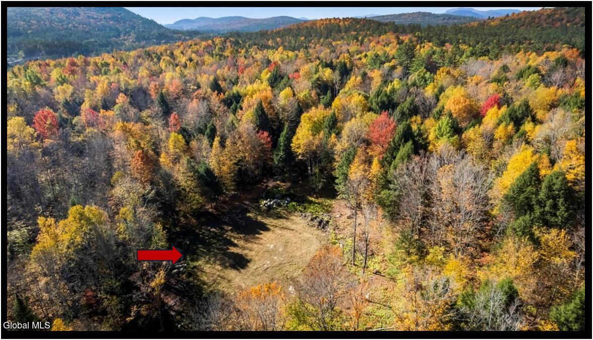 64 Carriage Knolls Road Chestertown NY 12817