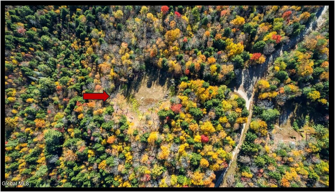 64 Carriage Knolls Road Chestertown NY 12817