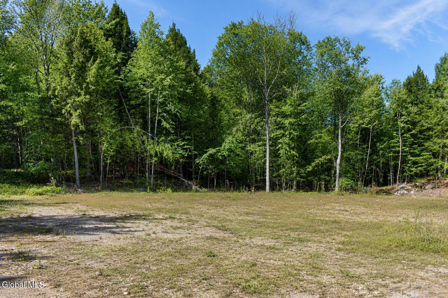 64 Carriage Knolls Road Chestertown NY 12817