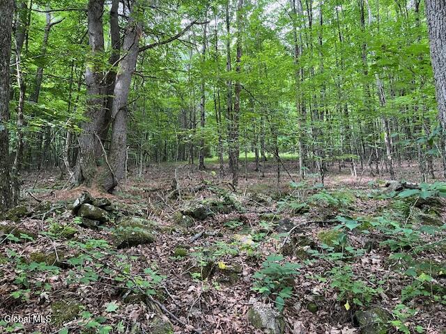 L34 Fred Jensen Drive Broome NY 12122