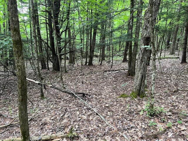 L34 Fred Jensen Drive Broome NY 12122