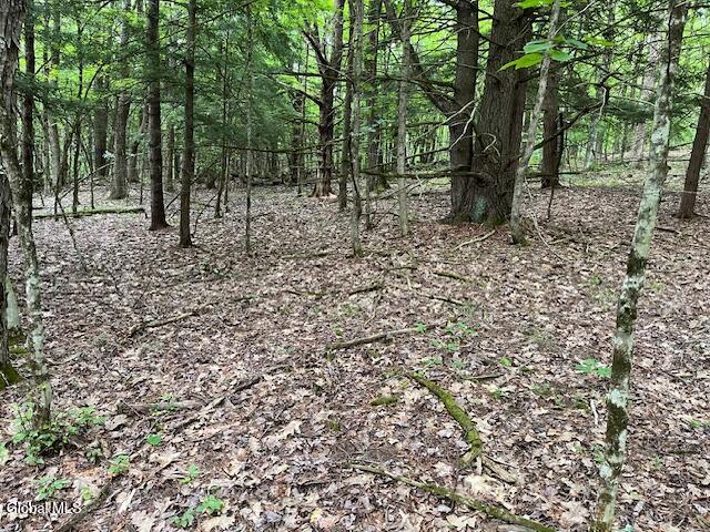L34 Fred Jensen Drive Broome NY 12122