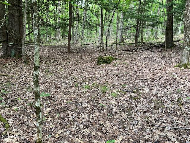 L34 Fred Jensen Drive Broome NY 12122