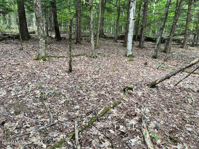 L34 Fred Jensen Drive Broome NY 12122
