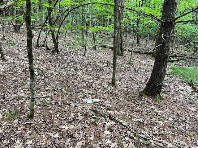 L34 Fred Jensen Drive Broome NY 12122