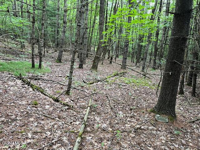 L34 Fred Jensen Drive Broome NY 12122