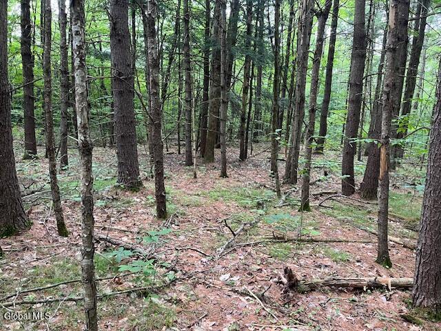 L34 Fred Jensen Drive Broome NY 12122
