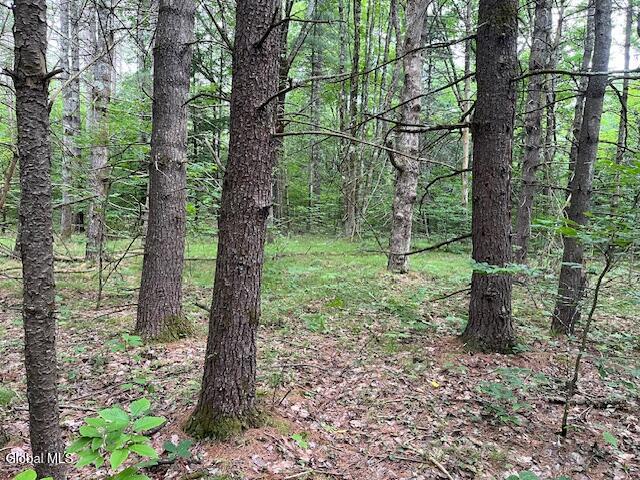L34 Fred Jensen Drive Broome NY 12122