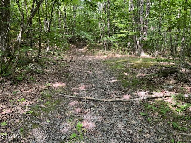 L34 Fred Jensen Drive Broome NY 12122