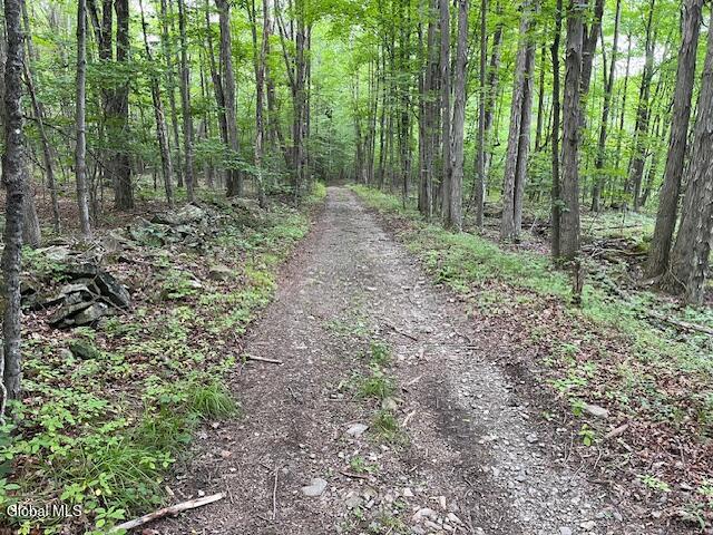 L34 Fred Jensen Drive Broome NY 12122