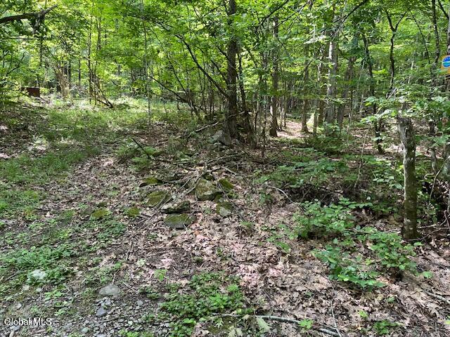 L34 Fred Jensen Drive Broome NY 12122