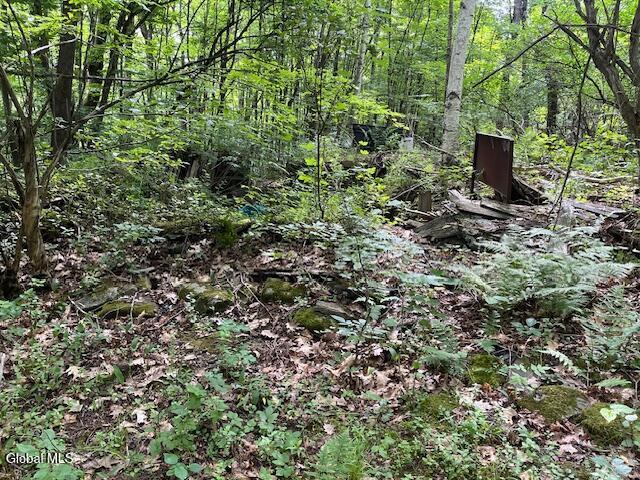 L34 Fred Jensen Drive Broome NY 12122