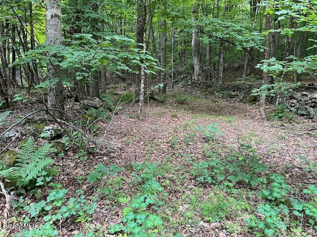 L34 Fred Jensen Drive Broome NY 12122