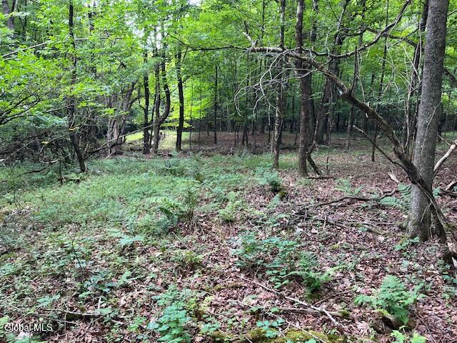 L34 Fred Jensen Drive Broome NY 12122