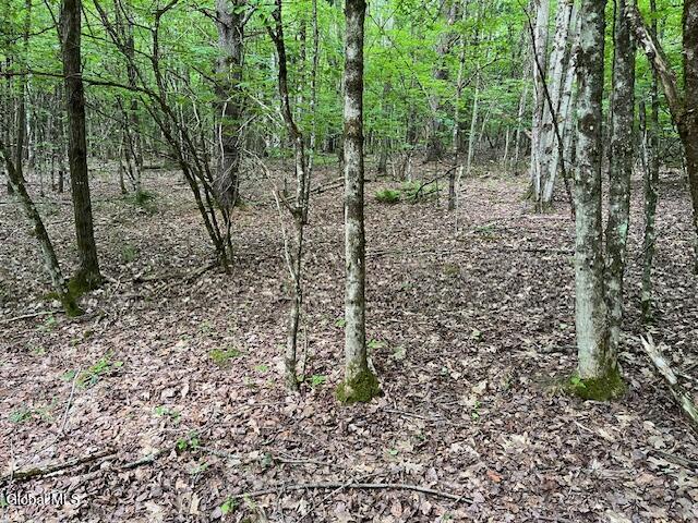 L34 Fred Jensen Drive Broome NY 12122