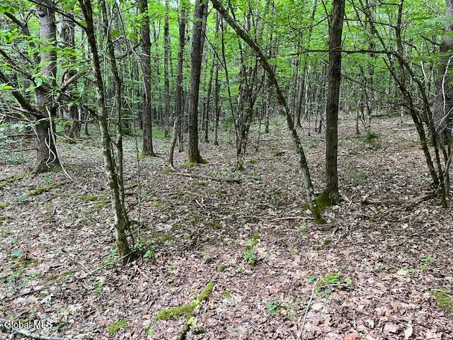L34 Fred Jensen Drive Broome NY 12122