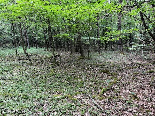 L34 Fred Jensen Drive Broome NY 12122