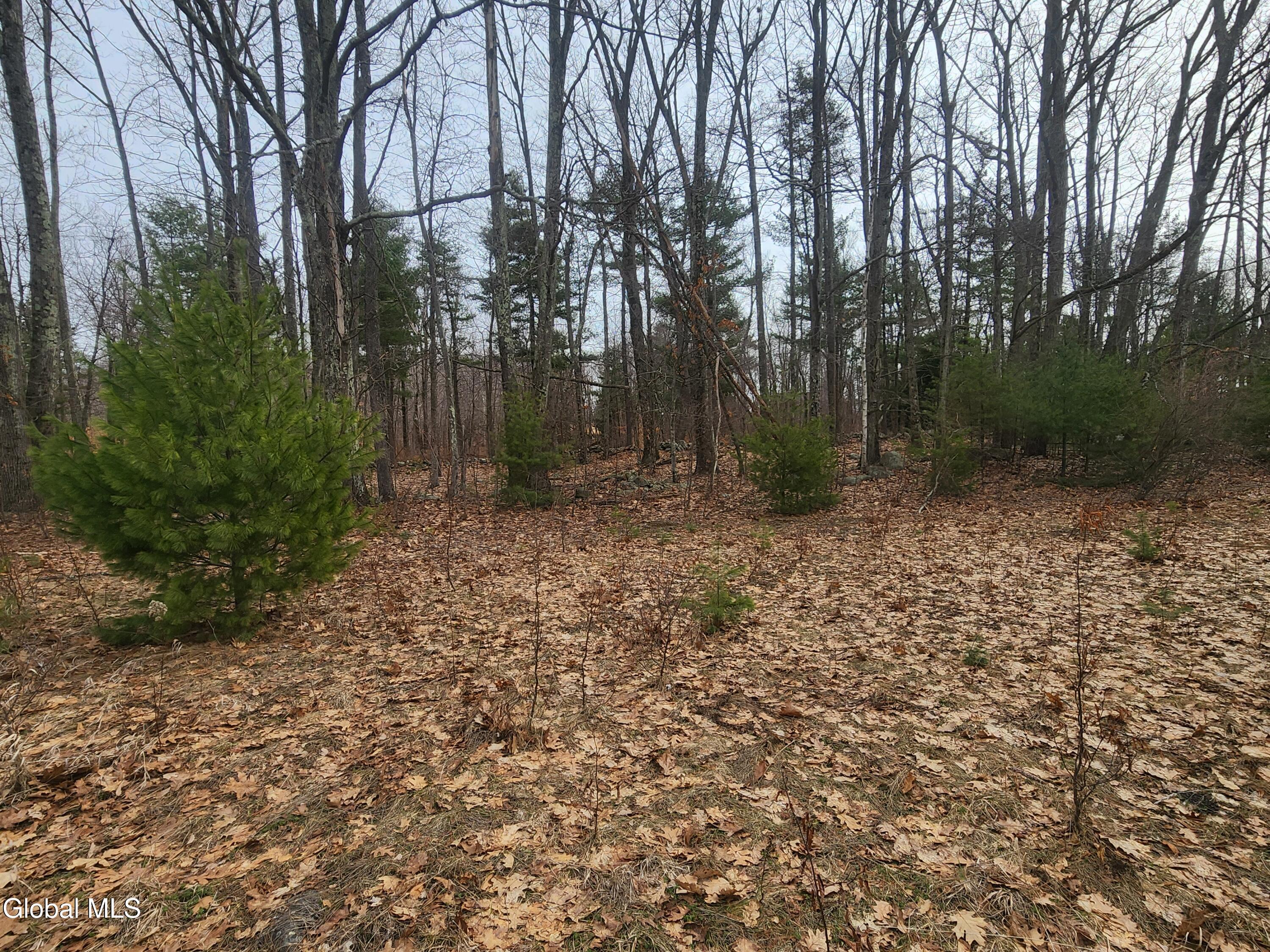 L 23.3 Lynn Road Averill Park NY 12018