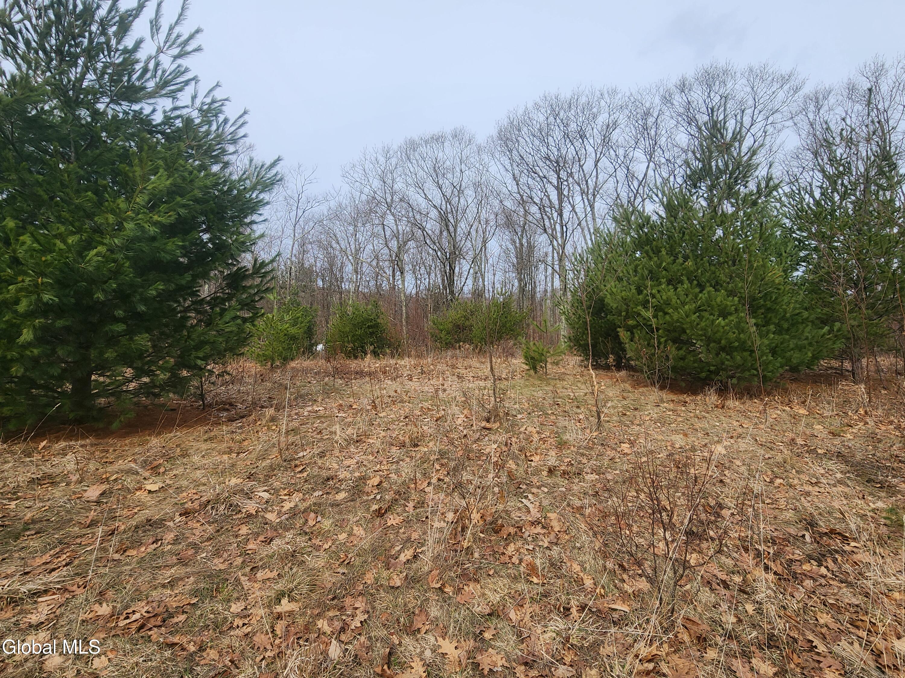 L 23.3 Lynn Road Averill Park NY 12018
