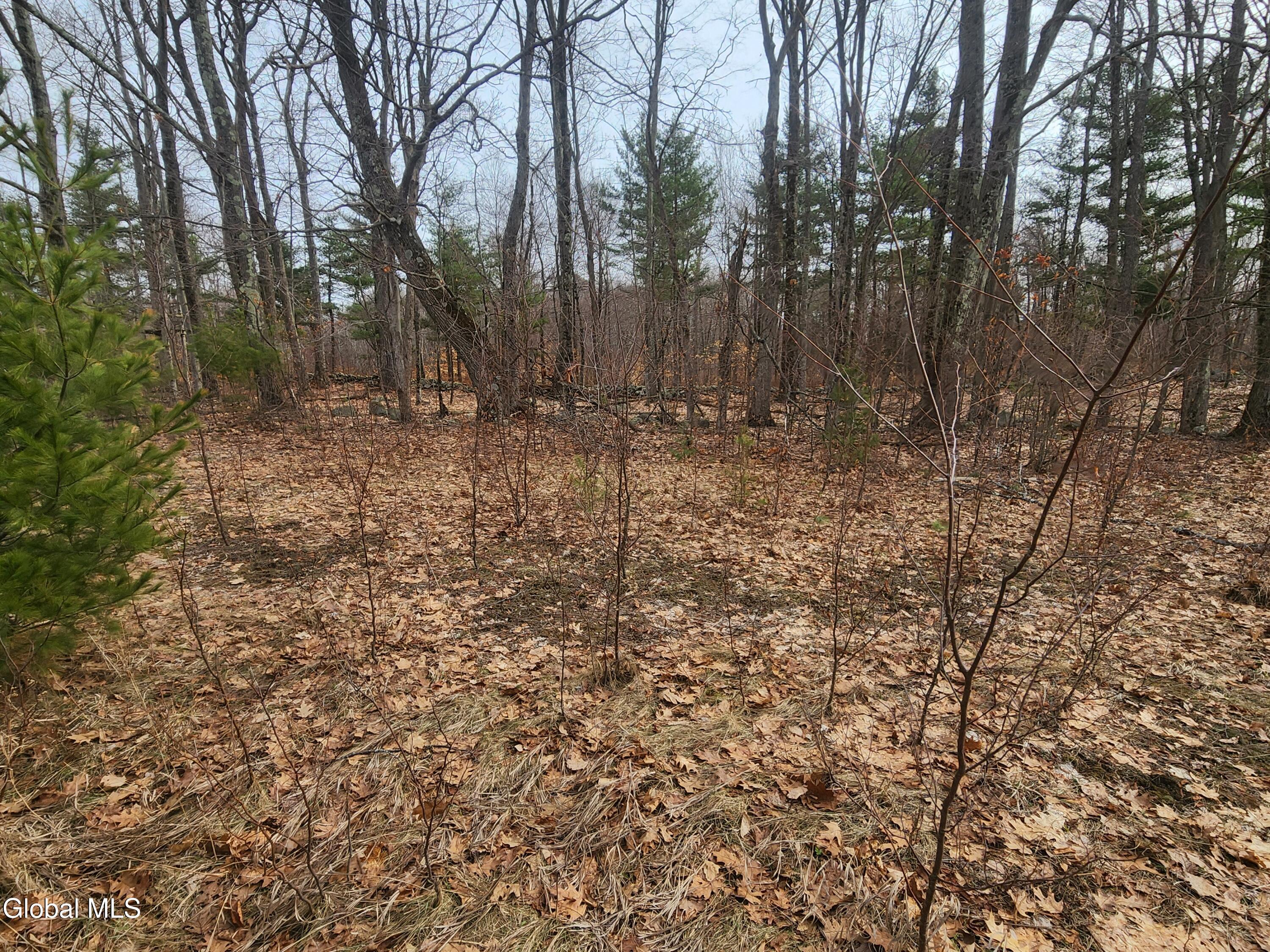 L 23.3 Lynn Road Averill Park NY 12018