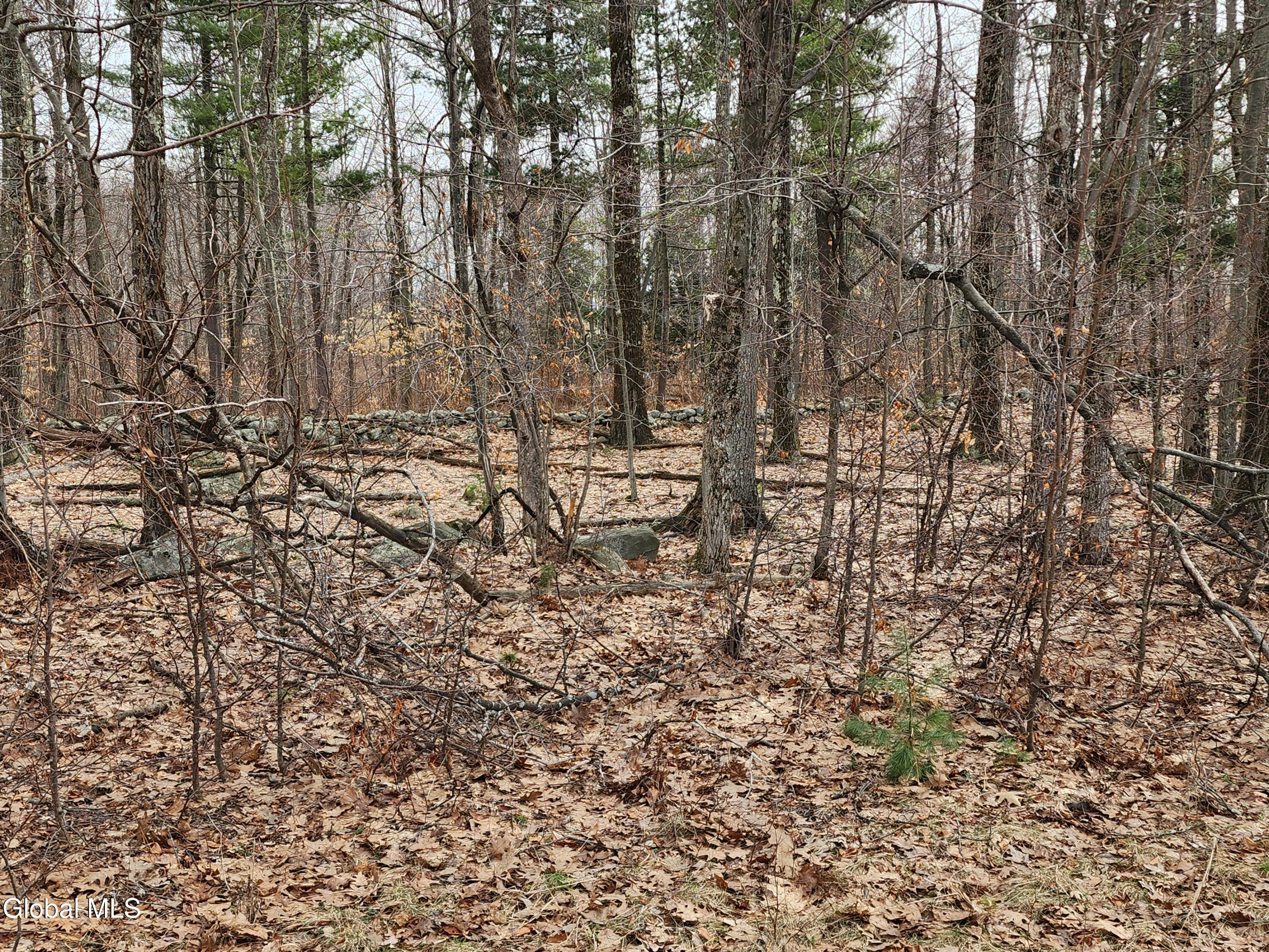 L 23.3 Lynn Road Averill Park NY 12018
