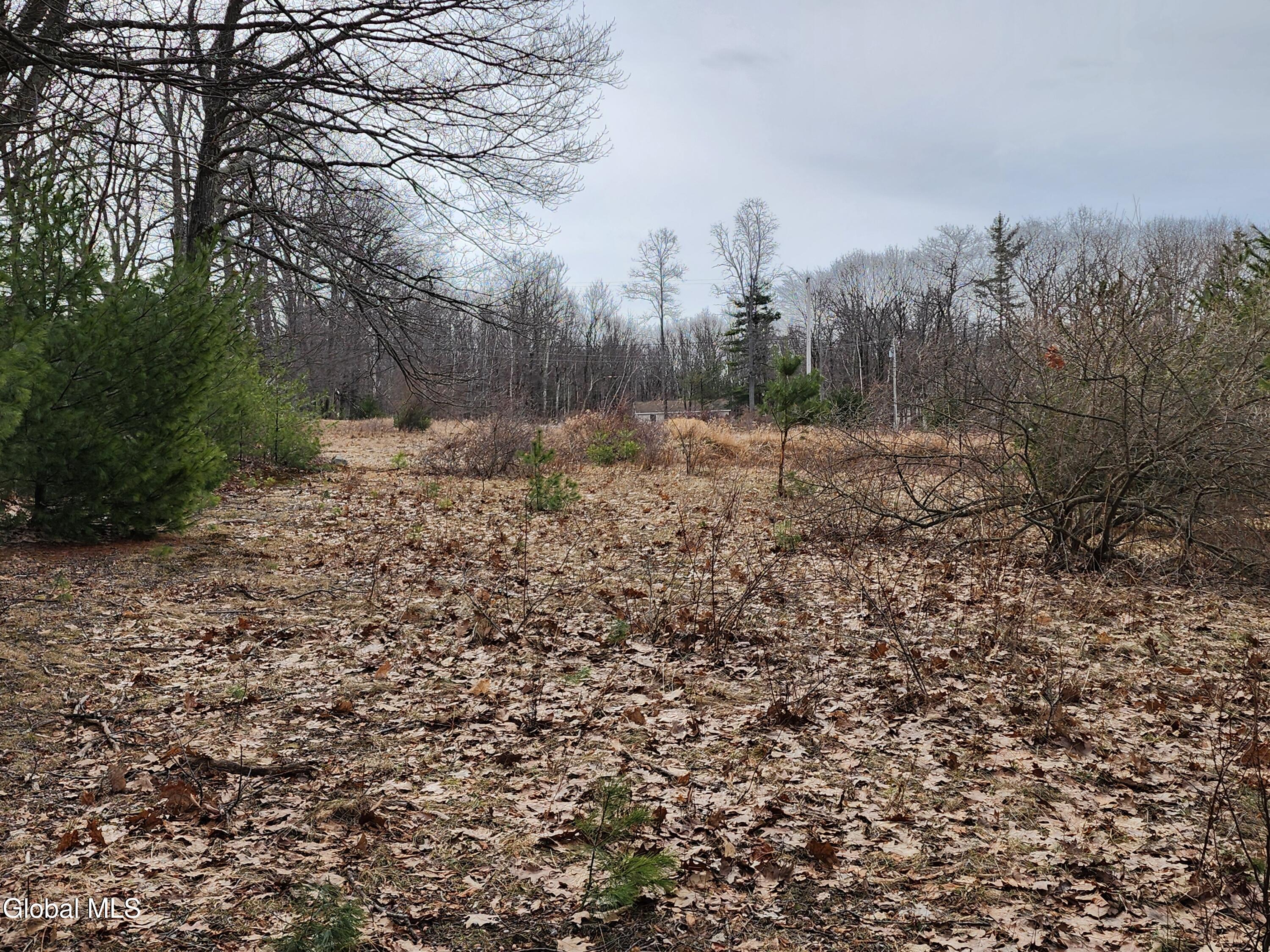 L 23.3 Lynn Road Averill Park NY 12018