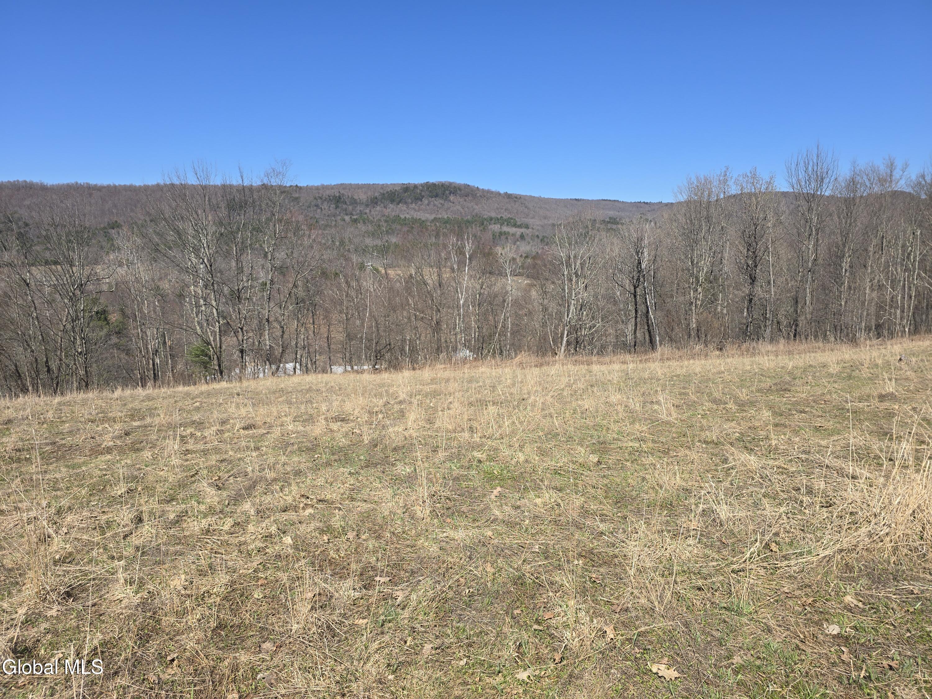17052 Ny 22 Berlin NY 12138