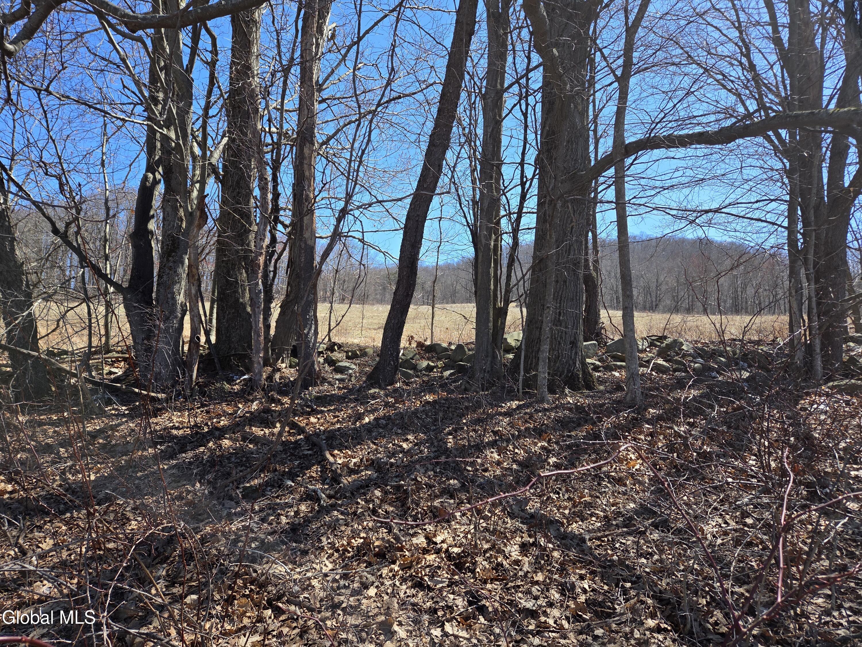 17052 Ny 22 Berlin NY 12138