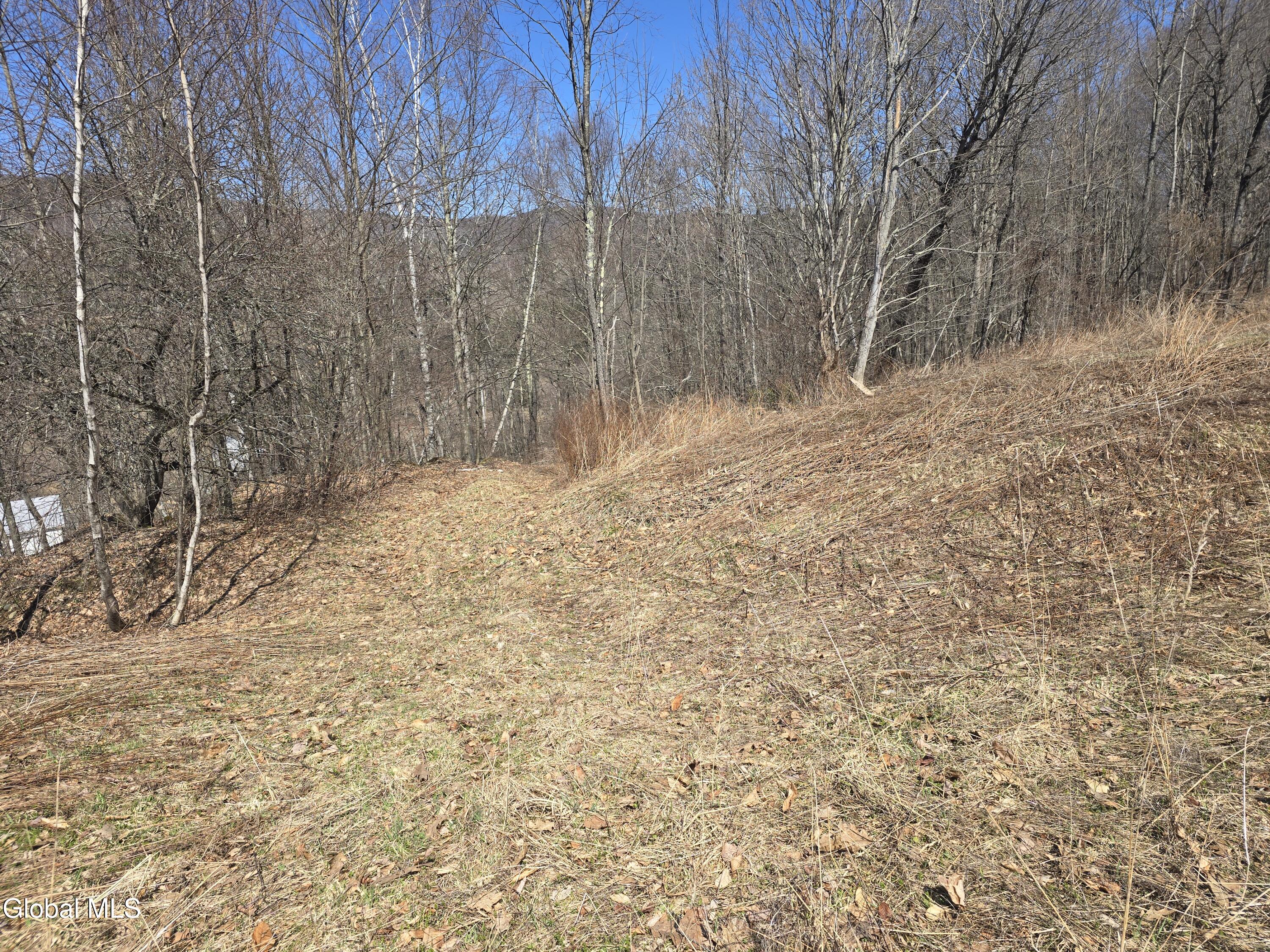 17052 Ny 22 Berlin NY 12138
